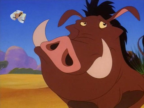 Timon és Pumba a Föld körül 1. évad Uganda légy elefánt online