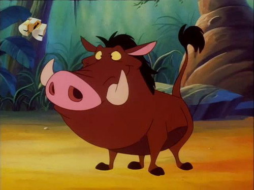 Timon és Pumba a Föld körül 1. évad Bűnöző üldözők online