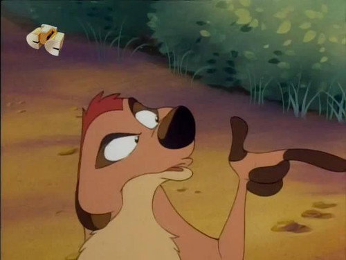 Timon és Pumba a Föld körül 1. évad Múló hullócsillag online