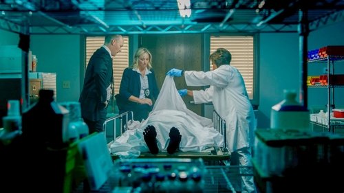Homicide Hunter: American Detective 3. évad 6. epizód online