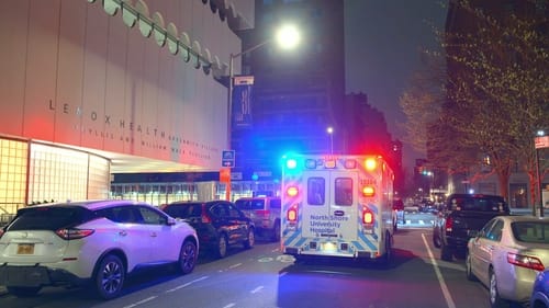 Sürgősségi osztály: New York 1. évad 2. epizód online