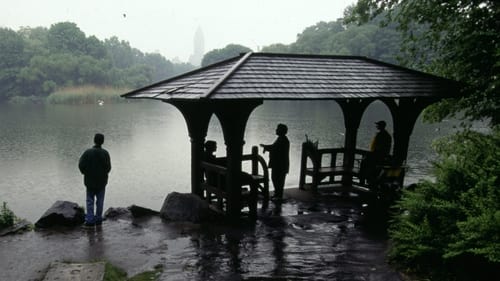 Gyilkossági ügyek New York Késelés a Central Parkban online