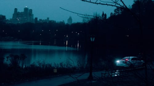 Gyilkossági ügyek New York Sorozatgyilkosság East Harlemben online