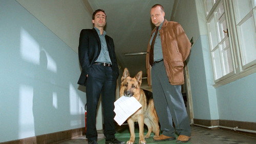 Rex felügyelő 10. évad 4. epizód online