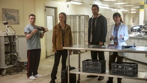 NCIS: Hawai'i 3. évad 10. epizód online
