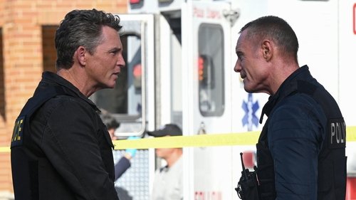 Bűnös Chicago 12. évad 8. epizód online