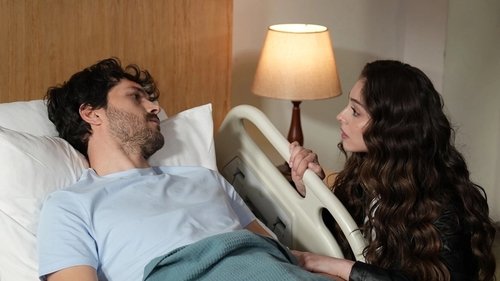 Leyla: sors, szerelem, igazság 1. évad 33. epizód online