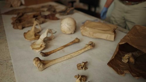 Naming the Dead 1. évad 2. epizód online