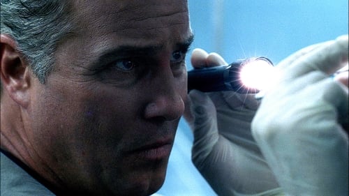 CSI: A helyszínelők 2. évad Osztály, vigyázz! online