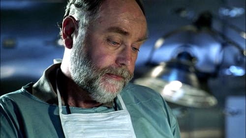 CSI: A helyszínelők 2. évad Bekerítve online