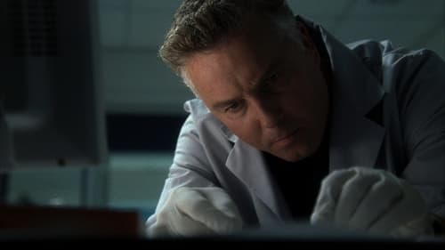 CSI: A helyszínelők 3. évad Catherina Willows kivégzése online