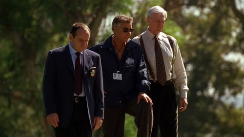 CSI: A helyszínelők 3. évad A vádlott joga online