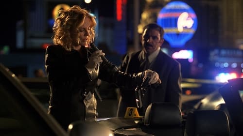 CSI: A helyszínelők 3. évad Éjszakai küzdelem online