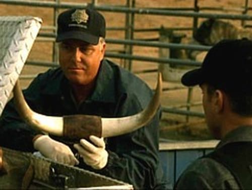 CSI: A helyszínelők 3. évad Szippantás online