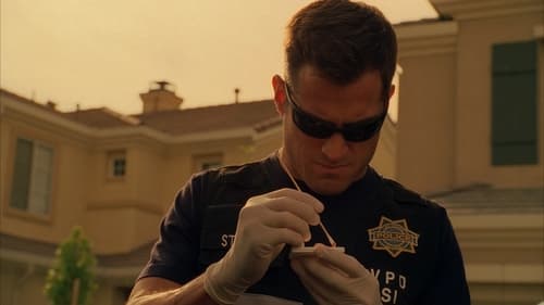 CSI: A helyszínelők 3. évad Gyilkosság online