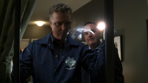 CSI: A helyszínelők 3. évad Csodás találat online
