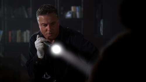 CSI: A helyszínelők 3. évad Nemesfém online