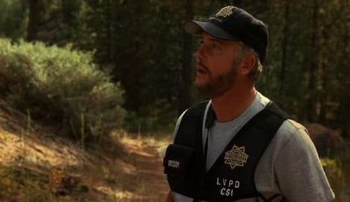 CSI: A helyszínelők 4. évad Főnyeremény online