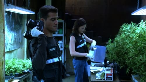 CSI: A helyszínelők 6. évad Rágónyomon online