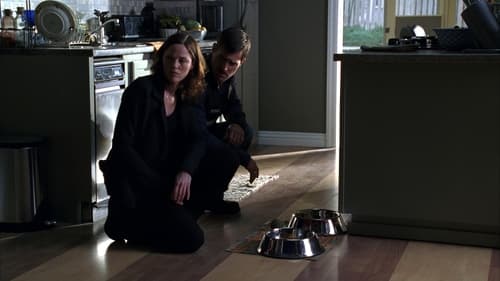 CSI: A helyszínelők 6. évad A házaspár halála online