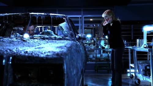 CSI: A helyszínelők 6. évad Átmenő lövés 2 online