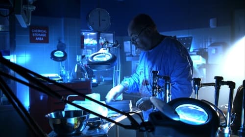 CSI: A helyszínelők 6. évad A gyilkos fantom online