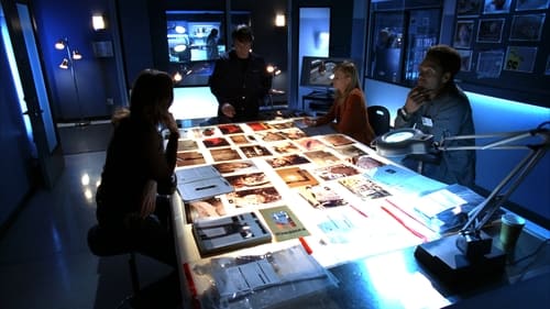 CSI: A helyszínelők 6. évad Különleges gyanúsított online