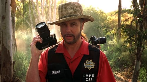 CSI: A helyszínelők 6. évad Szép munka volt online