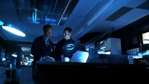 CSI: A helyszínelők 6. évad Átmenő lövés 1 online