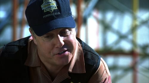 CSI: A helyszínelők 7. évad Indíték online