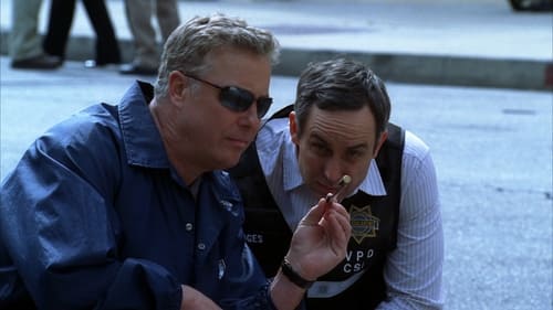 CSI: A helyszínelők 7. évad Nagy durranás online