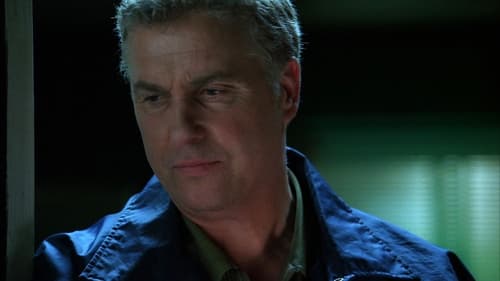 CSI: A helyszínelők 7. évad Élő baba online