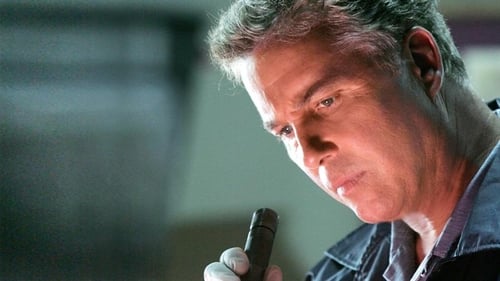 CSI: A helyszínelők 8. évad Rémségek kicsiny boltja online