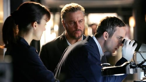 CSI: A helyszínelők 8. évad Ezer nap a Földön online