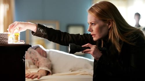 CSI: A helyszínelők 8. évad A mindenség elmélete online