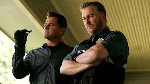 CSI: A helyszínelők 8. évad Kimaradva online