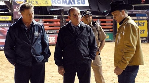 CSI: A helyszínelők 8. évad A bika online