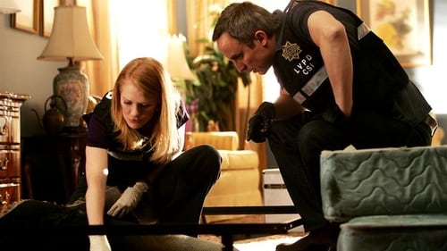 CSI: A helyszínelők 8. évad Két és fél halál online