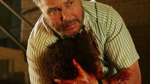 CSI: A helyszínelők 9. évad Warrickért online