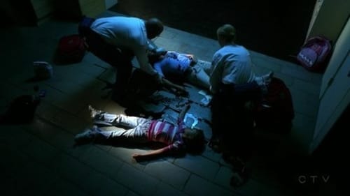 CSI: A helyszínelők 9. évad Halálos tévedés online