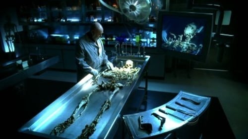 CSI: A helyszínelők 9. évad A tizenkilencedik online