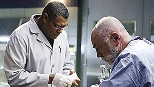 CSI: A helyszínelők 9. évad Ropogósra sütve, és üdítően mentásan online