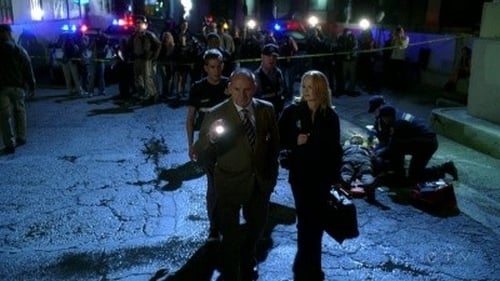 CSI: A helyszínelők 10. évad Autóbaleset, vagy gyilkosság? online