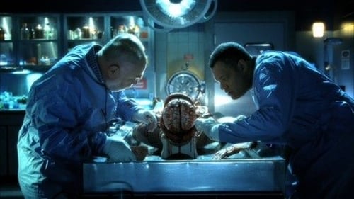 CSI: A helyszínelők 10. évad Halál a gimnáziumban online