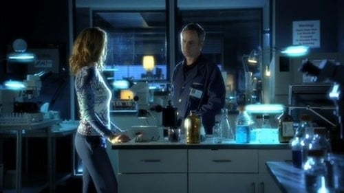 CSI: A helyszínelők 10. évad Sohaország online