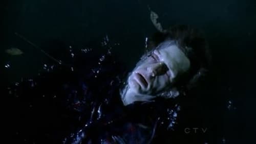 CSI: A helyszínelők 11. évad 8. epizód online