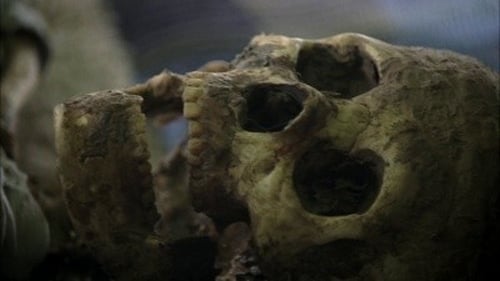 CSI: A helyszínelők 11. évad 5. epizód online