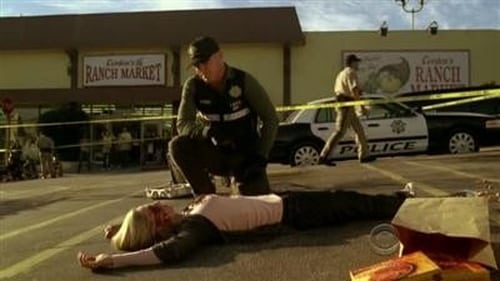 CSI: A helyszínelők 11. évad 10. epizód online