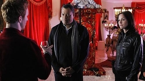 CSI: A helyszínelők 11. évad 19. epizód online