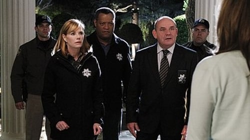 CSI: A helyszínelők 11. évad 20. epizód online
